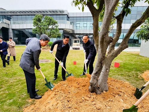 双方栽树.jpg