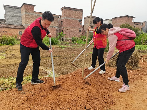 植树现场2.jpg