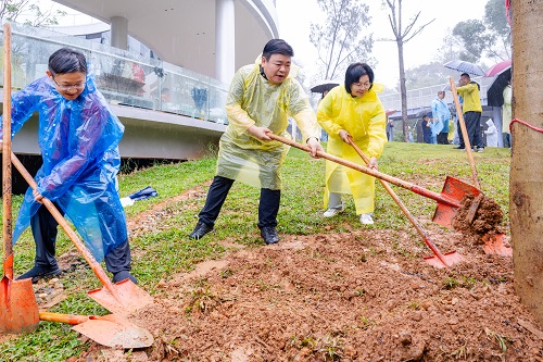 挥锹同植树.jpg